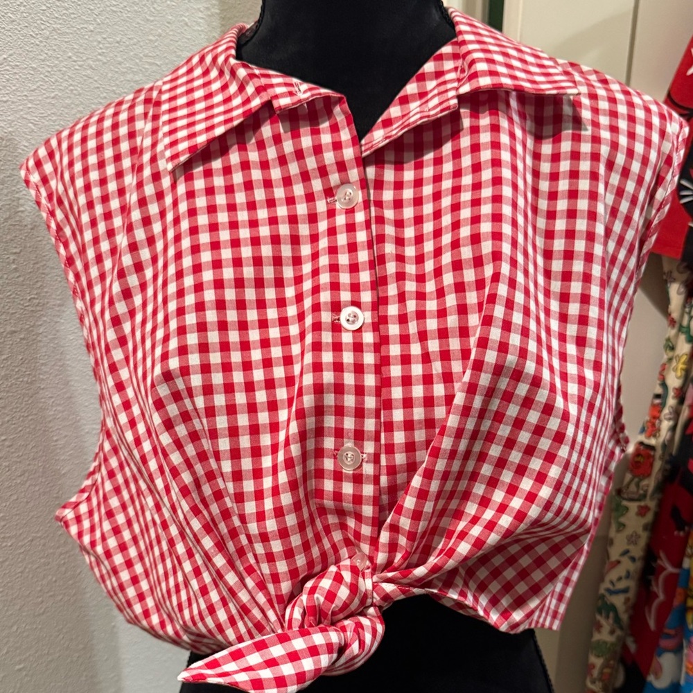 Trashy Diva Red and White Checkered Ginghm Dolly Tie Top